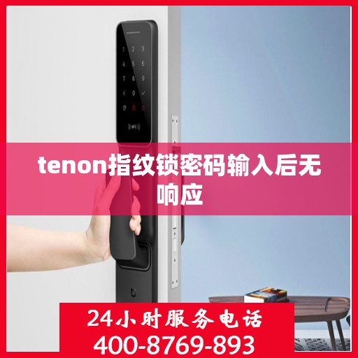 tenon指纹锁密码输入后无响应