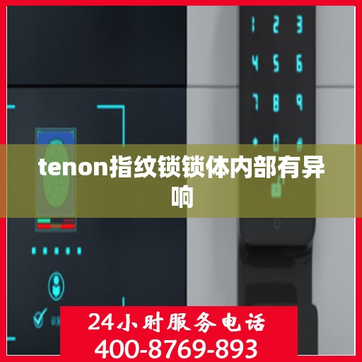 tenon指纹锁锁体内部有异响