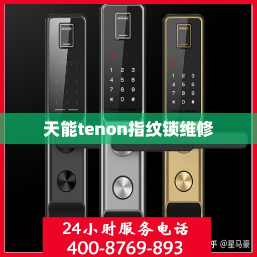 天能tenon指纹锁维修