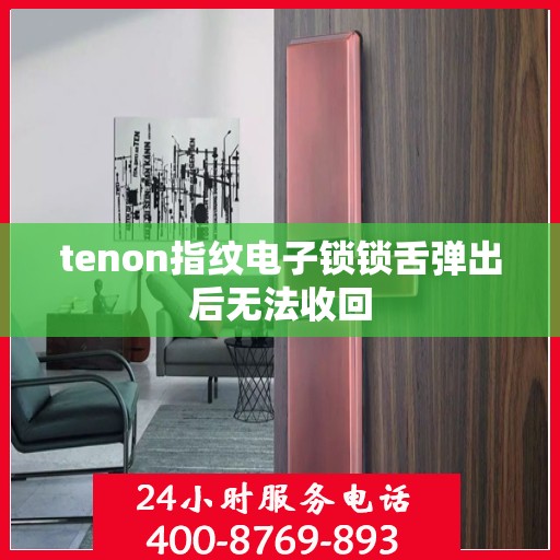 tenon指纹电子锁锁舌弹出后无法收回