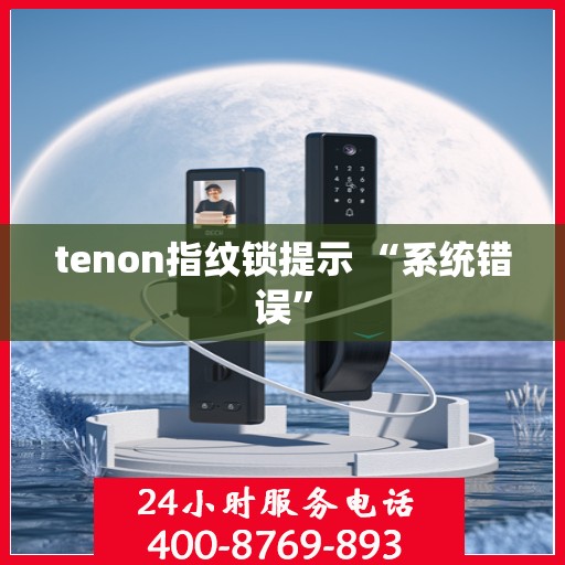 tenon指纹锁提示 “系统错误”