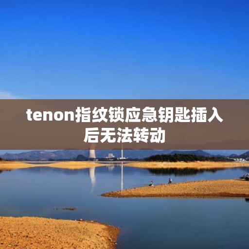 tenon指纹锁应急钥匙插入后无法转动