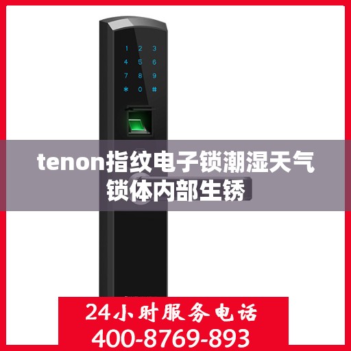 tenon指纹电子锁潮湿天气锁体内部生锈