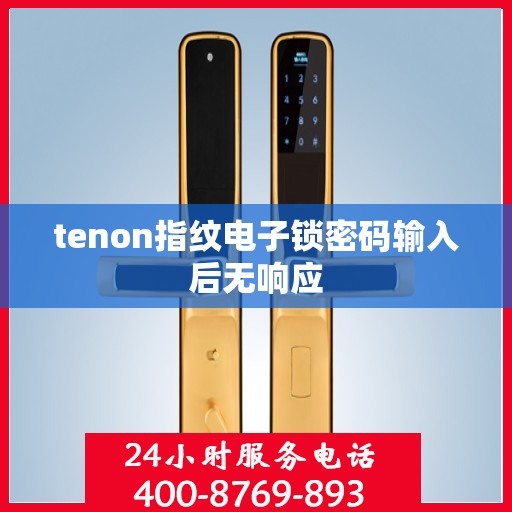 tenon指纹电子锁密码输入后无响应