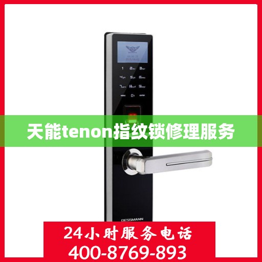 天能tenon指纹锁修理服务