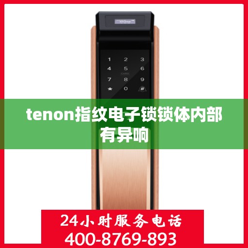 tenon指纹电子锁锁体内部有异响