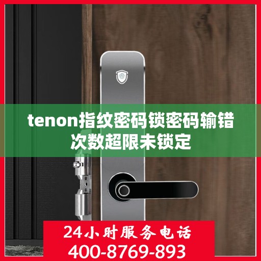 tenon指纹密码锁密码输错次数超限未锁定