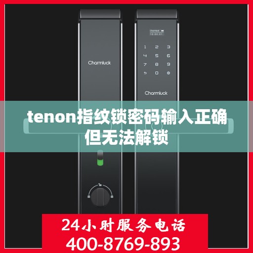 tenon指纹锁密码输入正确但无法解锁