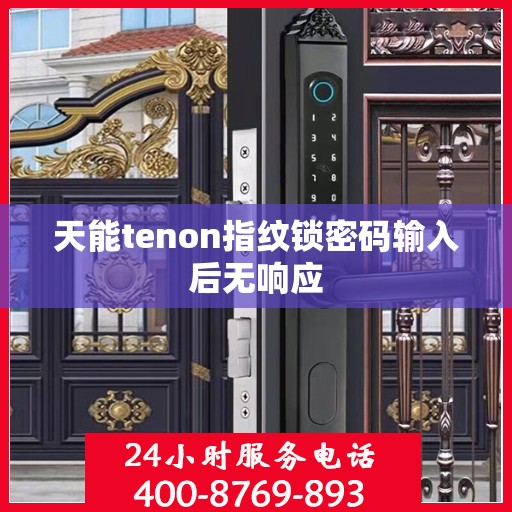 天能tenon指纹锁密码输入后无响应