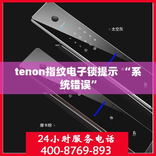 tenon指纹电子锁提示 “系统错误”