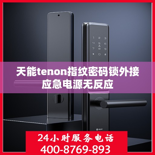 天能tenon指纹密码锁外接应急电源无反应