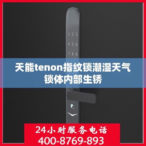 天能tenon指纹锁潮湿天气锁体内部生锈