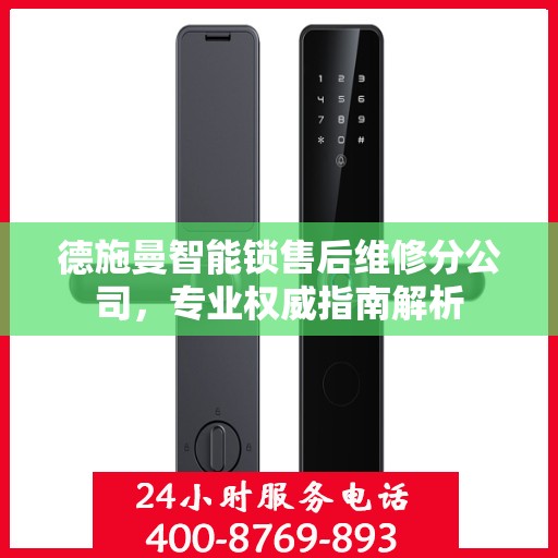 德施曼智能锁售后维修分公司，专业权威指南解析
