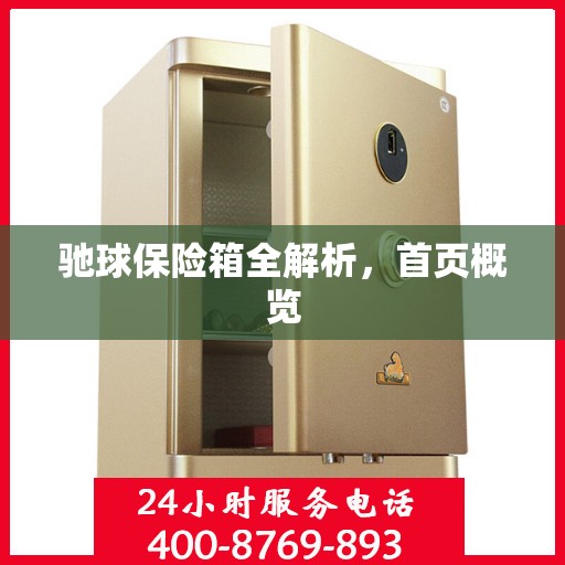 驰球保险箱全解析，首页概览