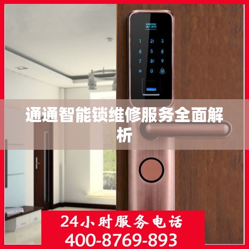 通通智能锁维修服务全面解析