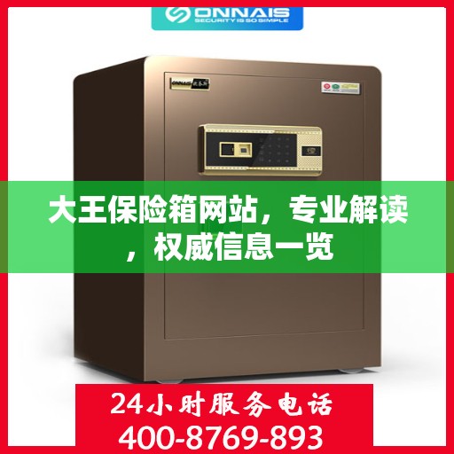 大王保险箱网站，专业解读，权威信息一览