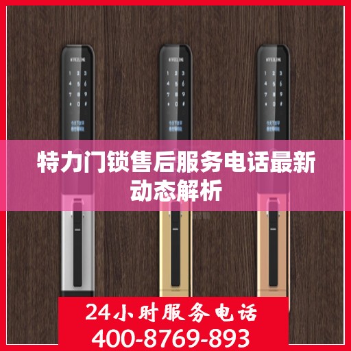 特力门锁售后服务电话最新动态解析