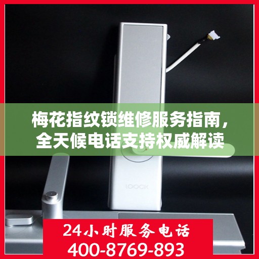 梅花指纹锁维修服务指南，全天候电话支持权威解读