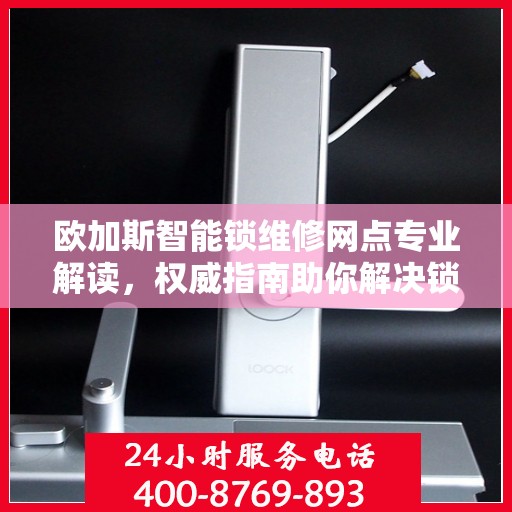 欧加斯智能锁维修网点专业解读，权威指南助你解决锁具问题
