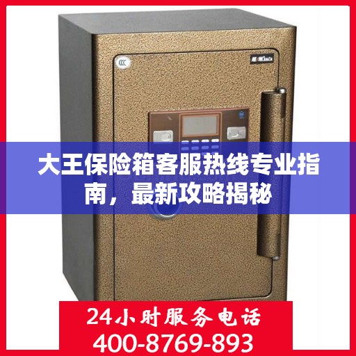 大王保险箱客服热线专业指南，最新攻略揭秘