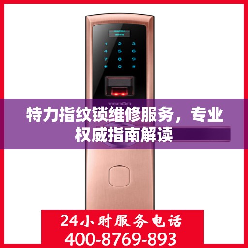 特力指纹锁维修服务，专业权威指南解读