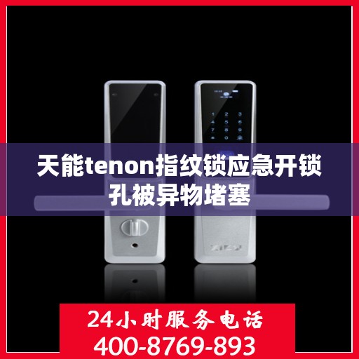 天能tenon指纹锁应急开锁孔被异物堵塞