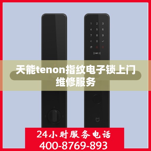 天能tenon指纹电子锁上门维修服务