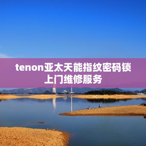 tenon亚太天能指纹密码锁上门维修服务
