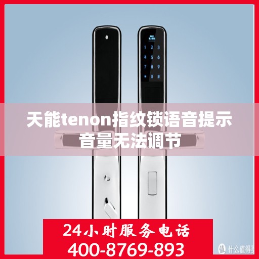 天能tenon指纹锁语音提示音量无法调节