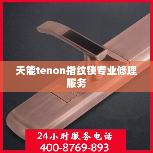 天能tenon指纹锁专业修理服务