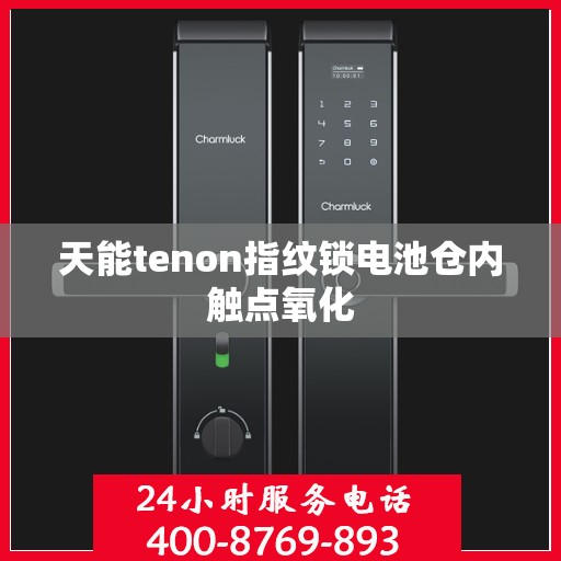 天能tenon指纹锁电池仓内触点氧化