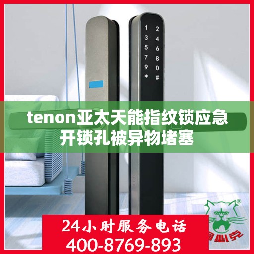 tenon亚太天能指纹锁应急开锁孔被异物堵塞