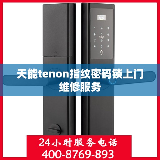 天能tenon指纹密码锁上门维修服务