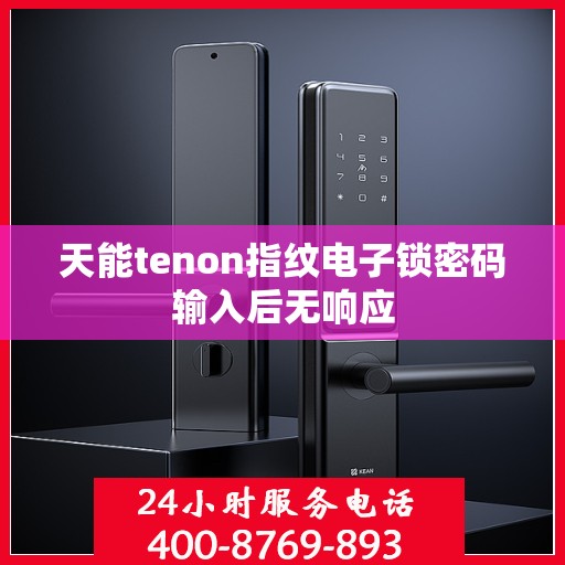 天能tenon指纹电子锁密码输入后无响应