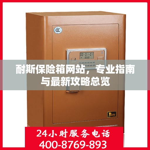 耐斯保险箱网站，专业指南与最新攻略总览