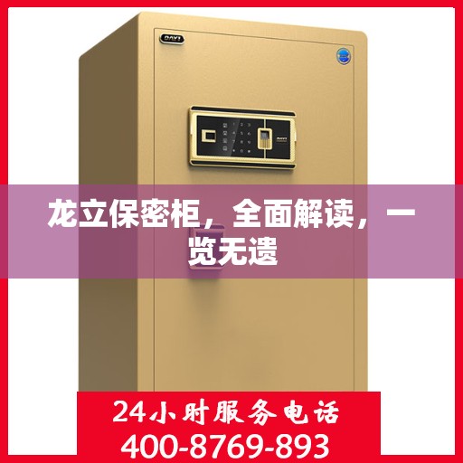 龙立保密柜，全面解读，一览无遗