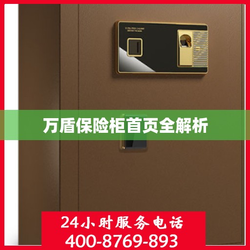 万盾保险柜首页全解析