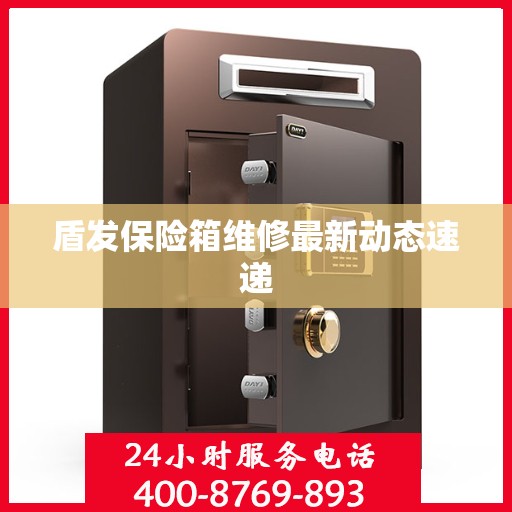 盾发保险箱维修最新动态速递