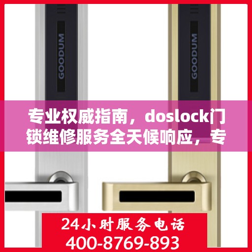 专业权威指南，doslock门锁维修服务全天候响应，专业维修团队为您排忧解难