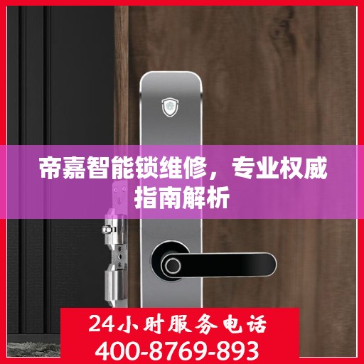 帝嘉智能锁维修，专业权威指南解析