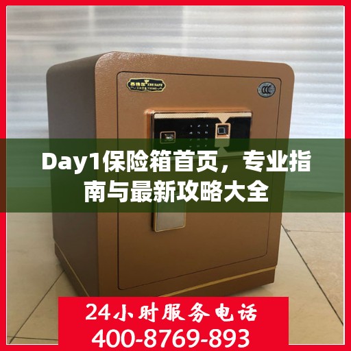 Day1保险箱首页，专业指南与最新攻略大全