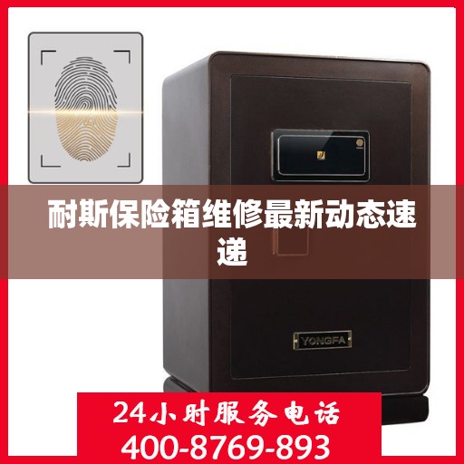 耐斯保险箱维修最新动态速递