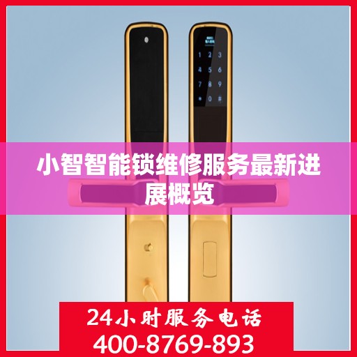 小智智能锁维修服务最新进展概览