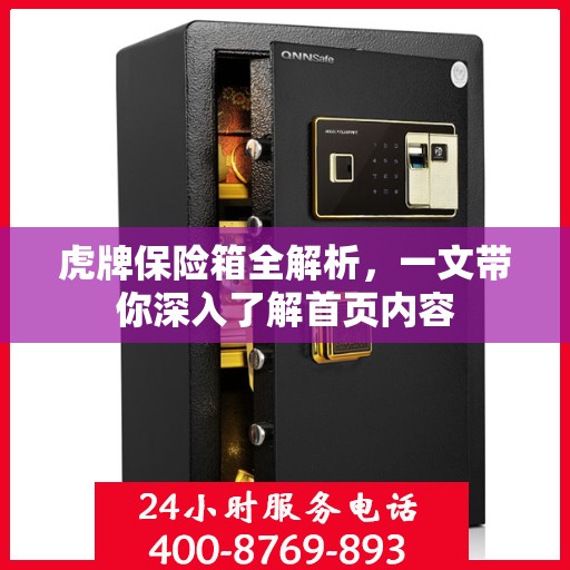 虎牌保险箱全解析，一文带你深入了解首页内容