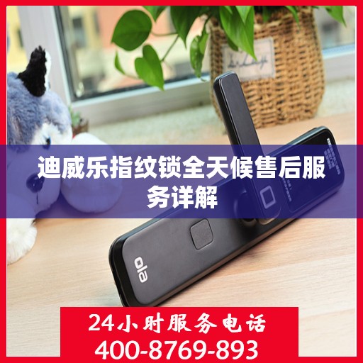 迪威乐指纹锁全天候售后服务详解