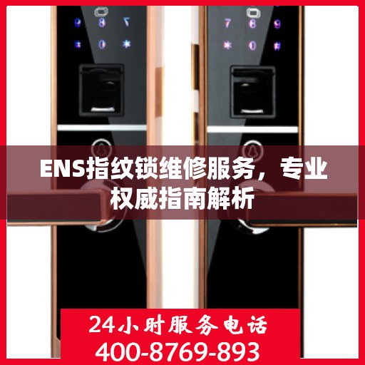 ENS指纹锁维修服务，专业权威指南解析