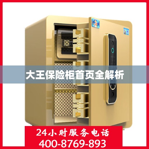 大王保险柜首页全解析