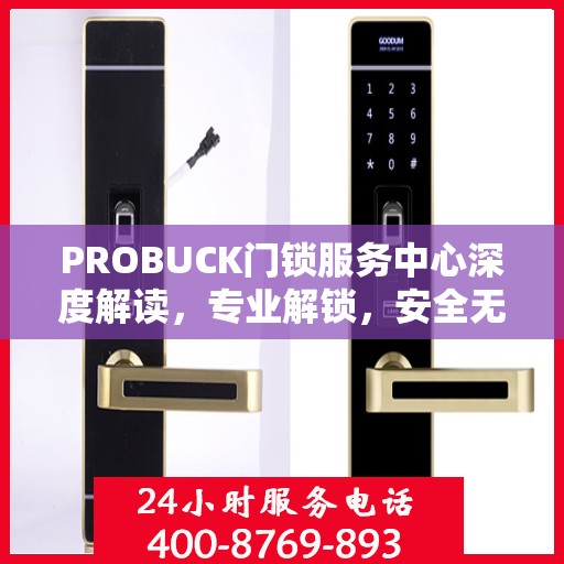 PROBUCK门锁服务中心深度解读，专业解锁，安全无忧