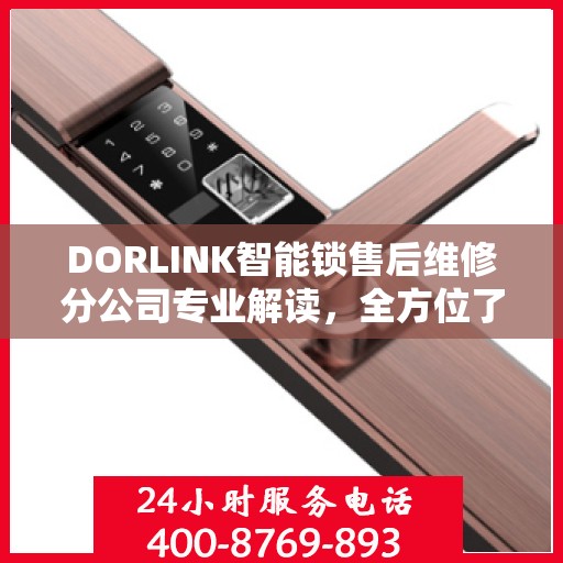 DORLINK智能锁售后维修分公司专业解读，全方位了解智能锁维修服务