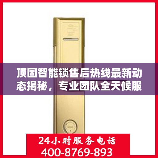 顶固智能锁售后热线最新动态揭秘，专业团队全天候服务，解决您的后顾之忧！